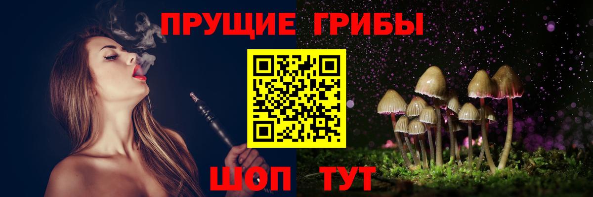Псилоцибиновые грибы ЛСД  Галлюциногенные грибы ЛСД  Королёв  Вход с VPN 